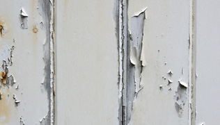 Restauration des bois tendres